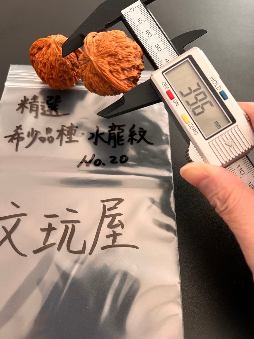 遊び胡桃 精選 希少品種 水龍紋No.19くるみ 趣味健康グッズ コレクション
