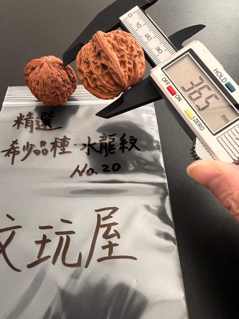 遊び胡桃 精選 希少品種 水龍紋No.19くるみ 趣味健康グッズ コレクション