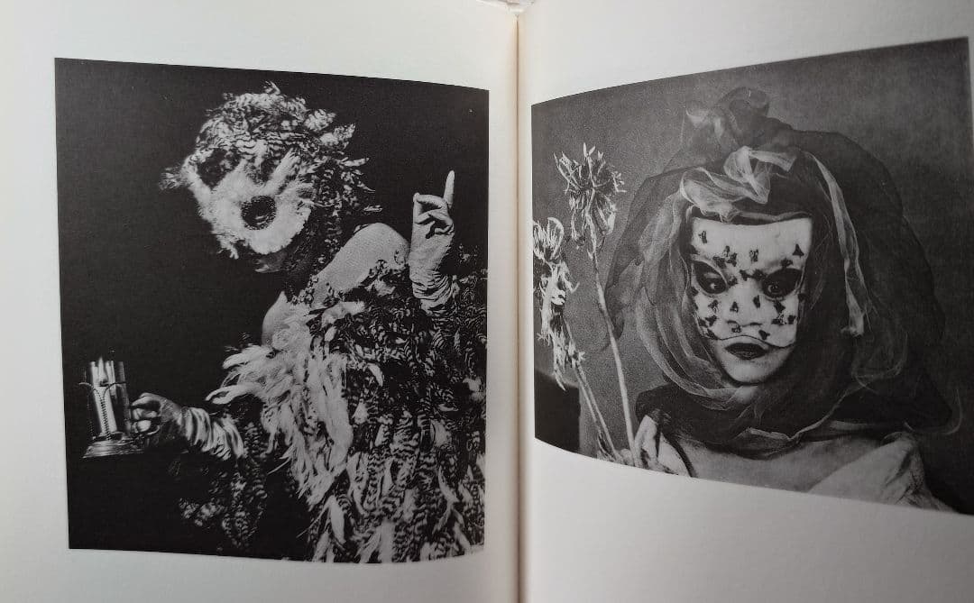 『レオノール・フィニーの仮面』生田耕作 (訳) A・P・ド・マンディアルグ(著）