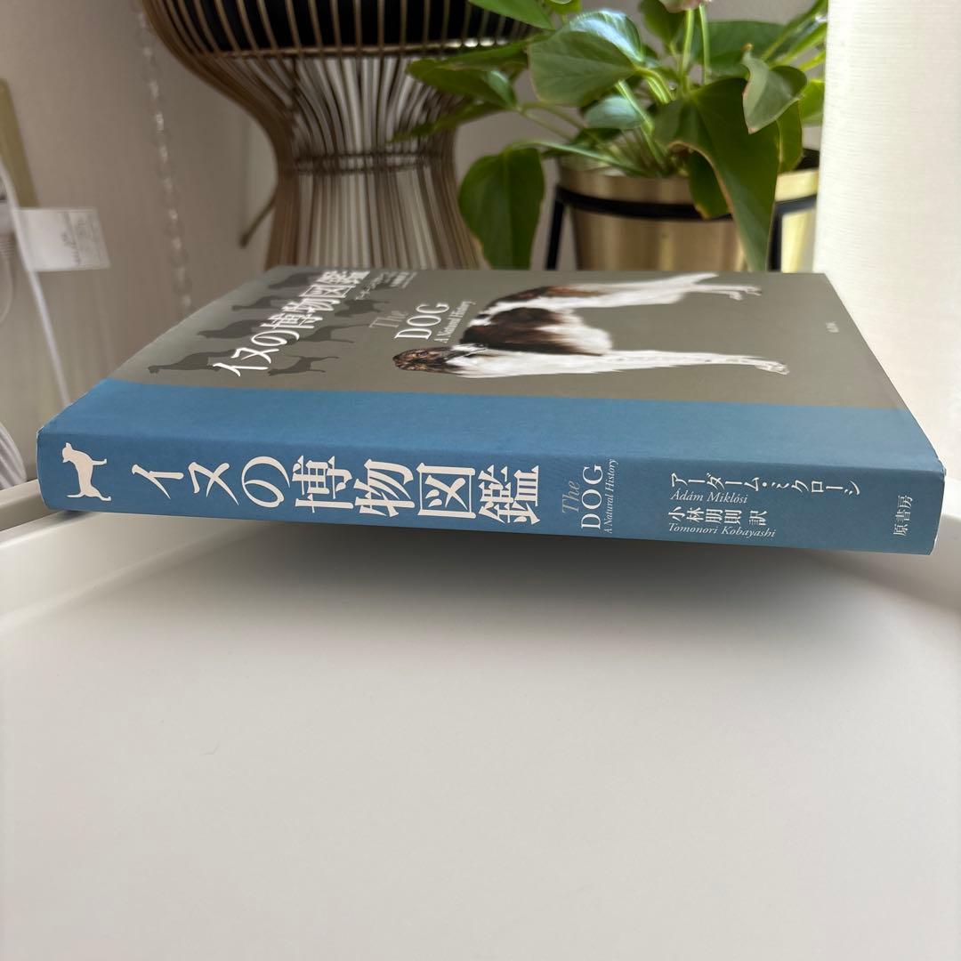 イヌの博物図鑑　小林 朋則