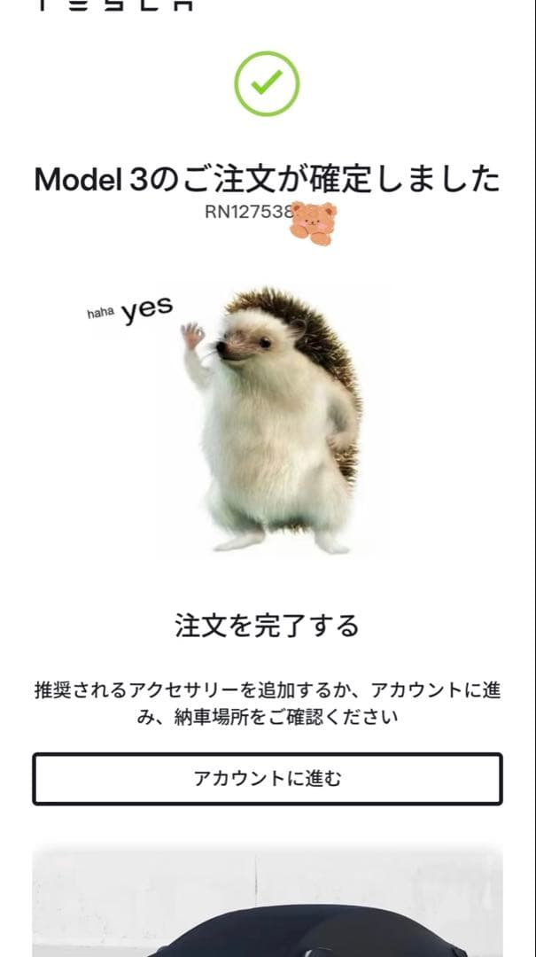 テスラのハリネズミぬいぐるみ haha yes