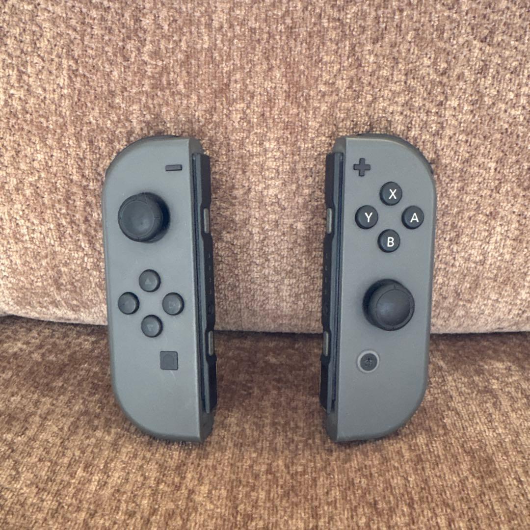 【動作確認済】Nintendo Switch 本体 【ジャンク扱い】