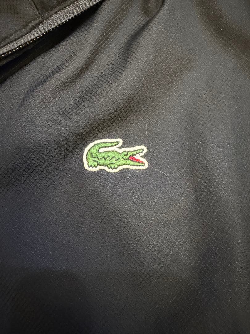 Supreme × LACOSTE LIVE 黒 L シュプリーム ラコステ