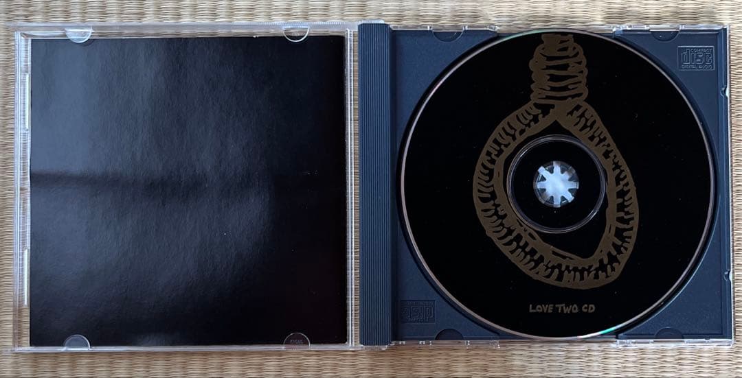 洋楽 Swans 13th CD