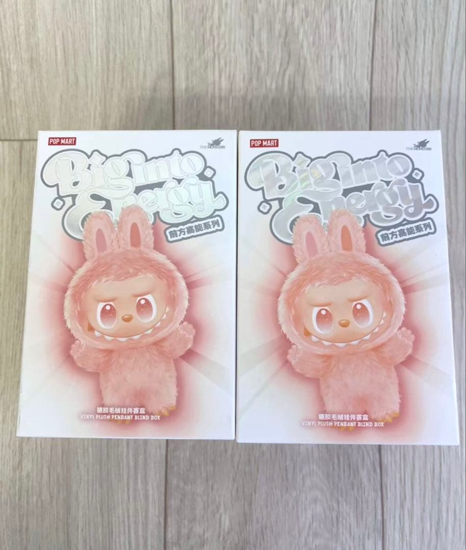 ⭐️【新品未開封　正規品】ラブブ Big into Energy ２ピース