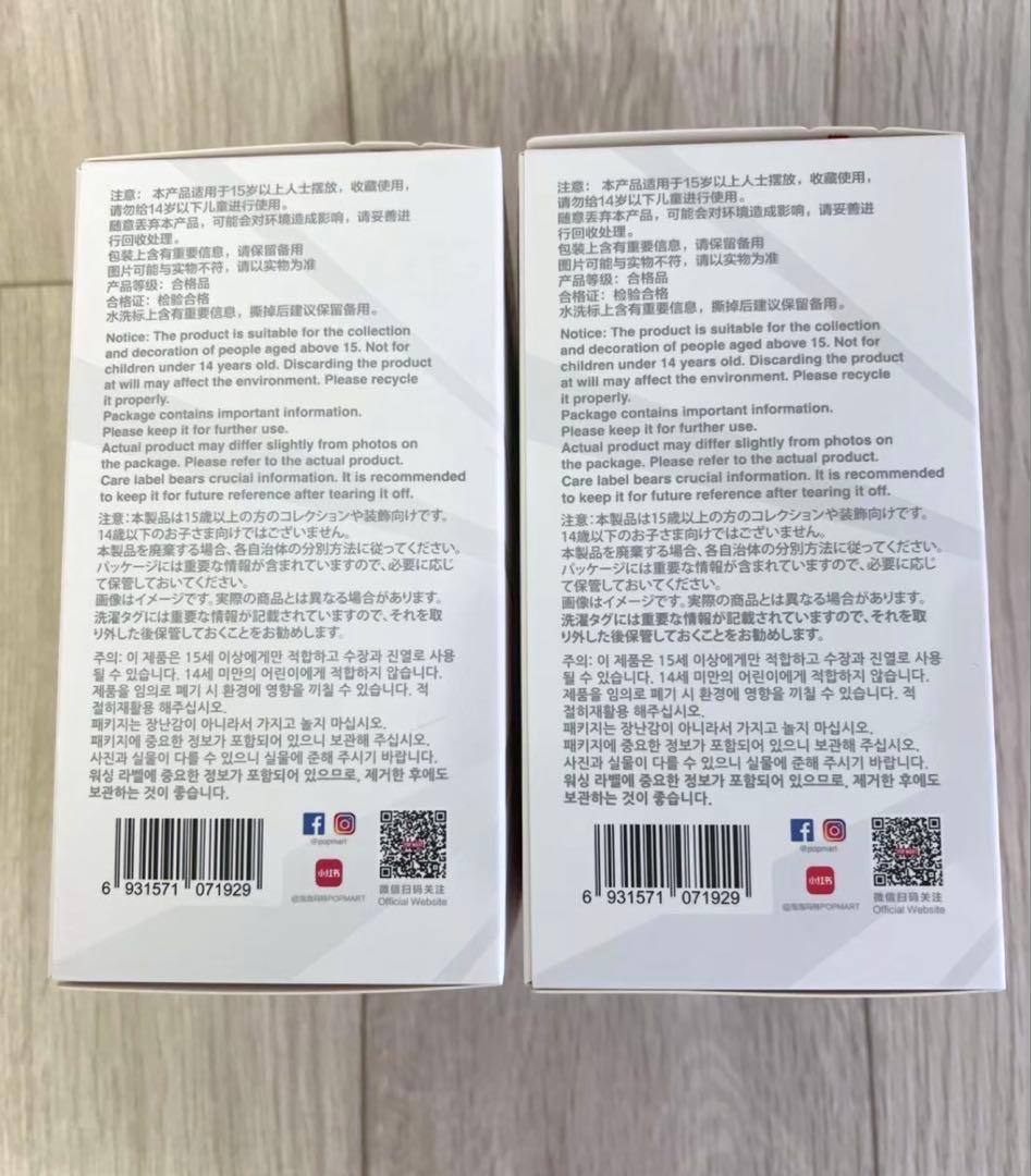 ⭐️【新品未開封　正規品】ラブブ Big into Energy ２ピース