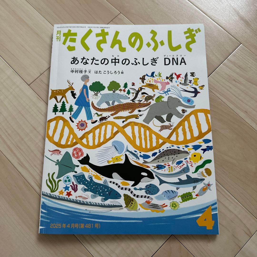 福音館書店　たくさんのふしぎ2025年4月〜2026年3月号