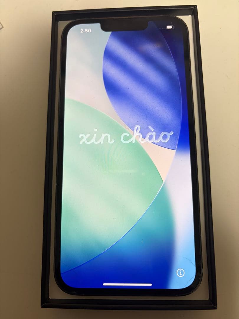 早い者勝ち Apple iPhone 13 Pro シルバー ブルー