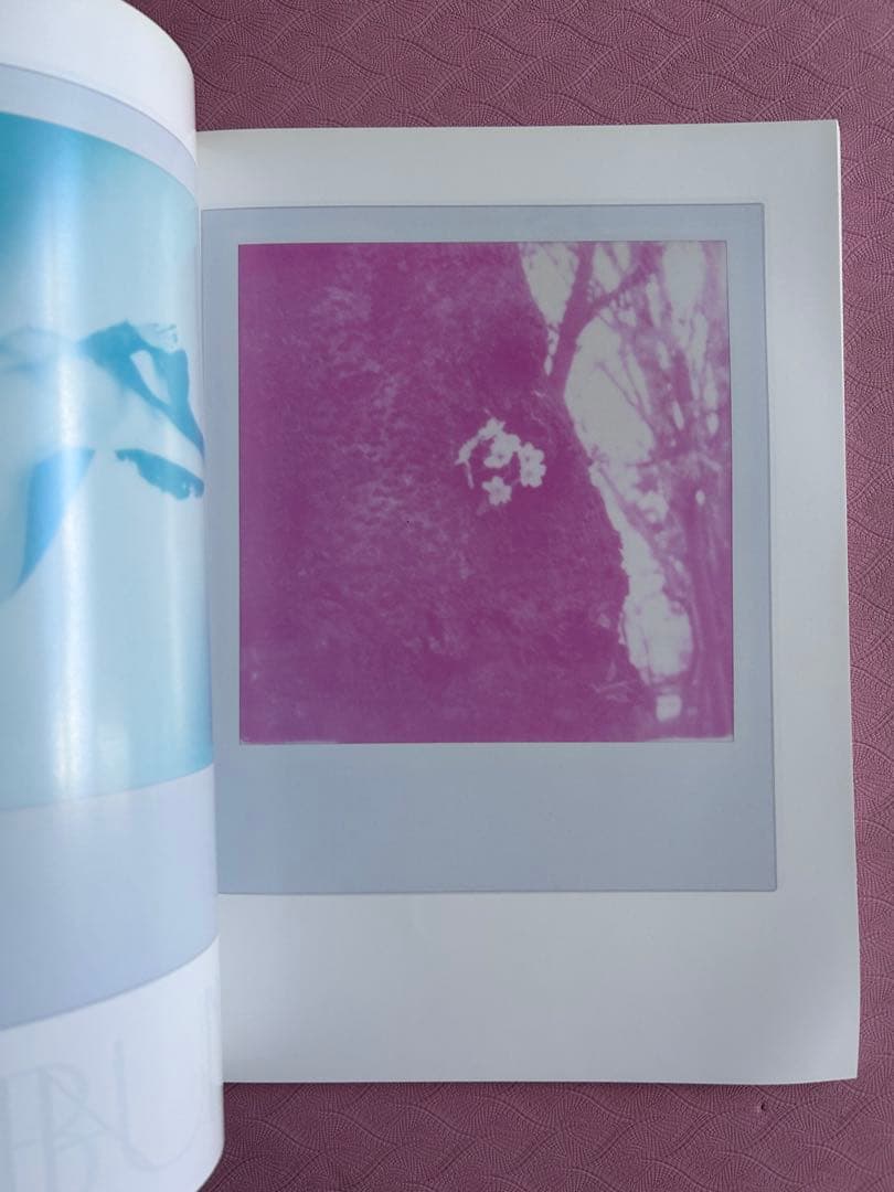 Libertine Dune No.10/REN HANG,荒木経惟