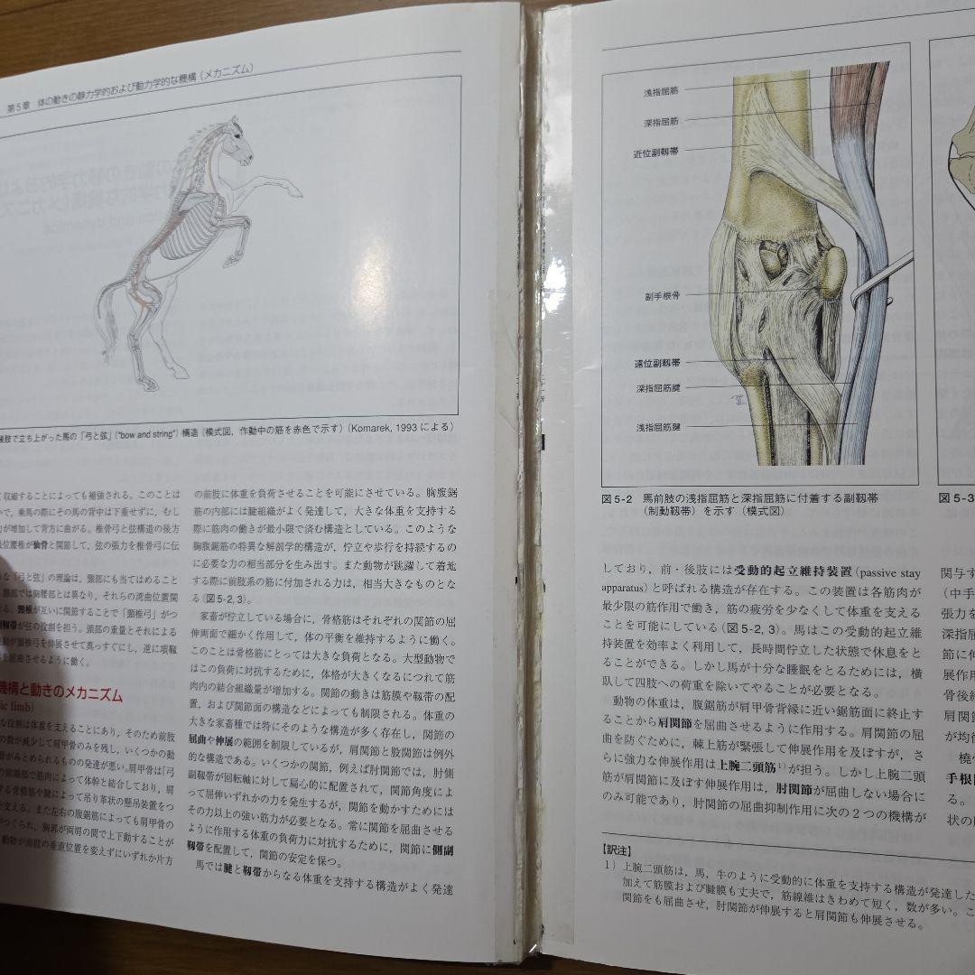 カラーアトラス獣医解剖学 増補改訂第2版 上巻・下巻セット