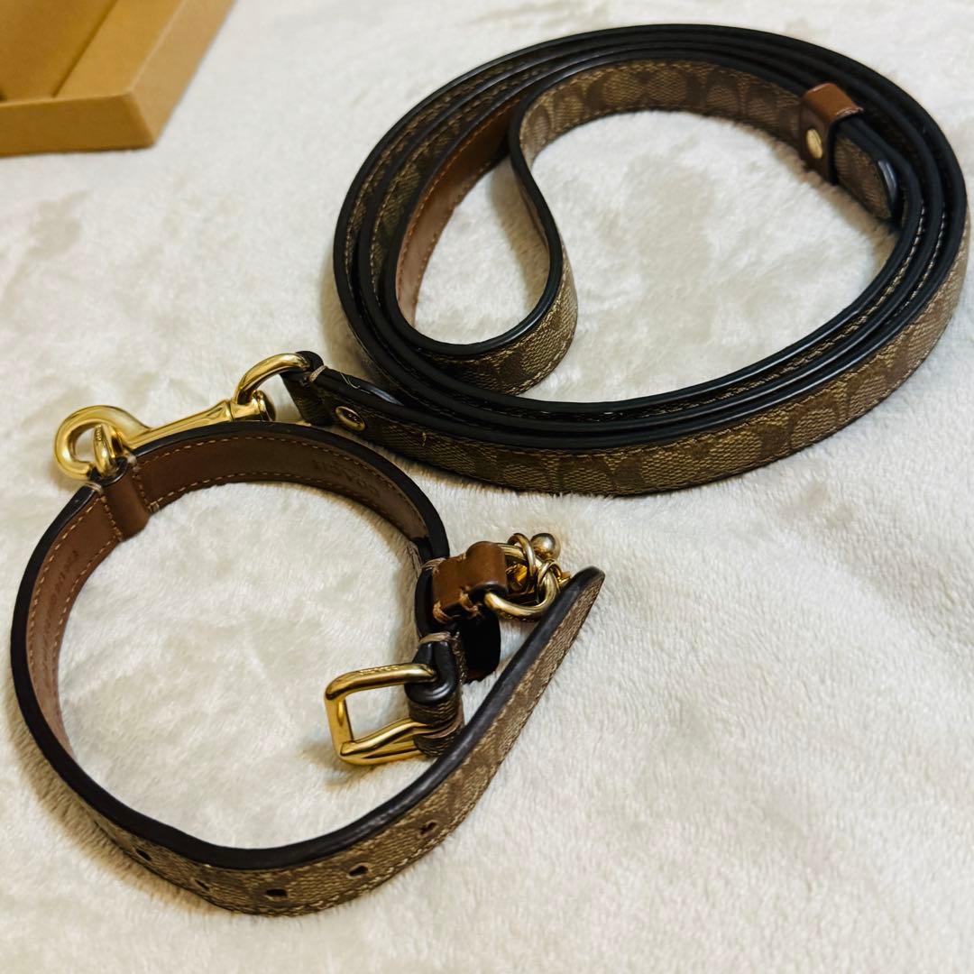COACH小型犬首輪リードセットS箱付シグネチャー柄型番F26175/76美品