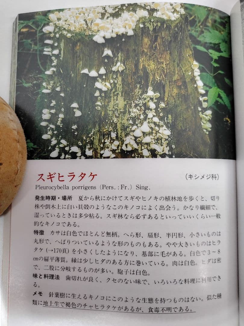 『とやまの山菜・きのこ』 見分け方・採取時期・味と料理・薬効などを解説 稀覯本