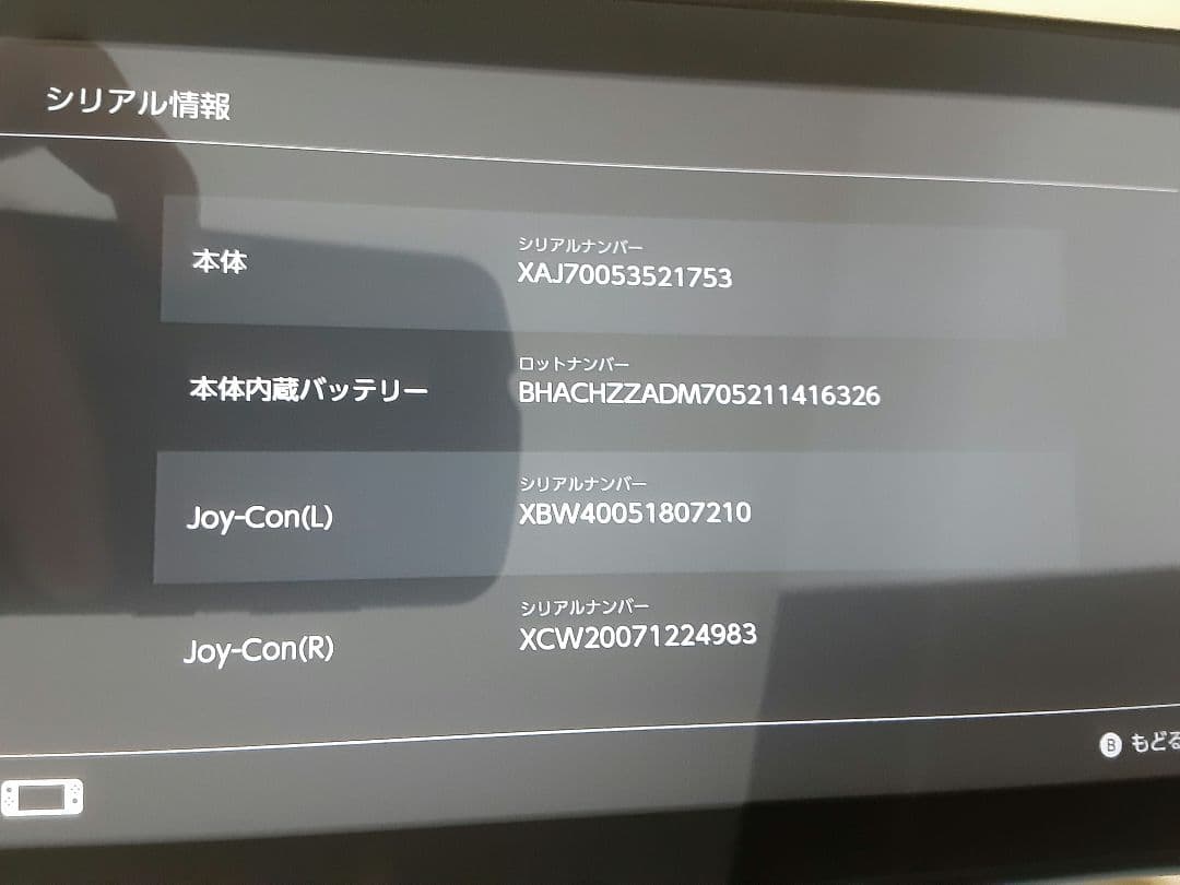 Nintendo Switch 本体 グレー/青