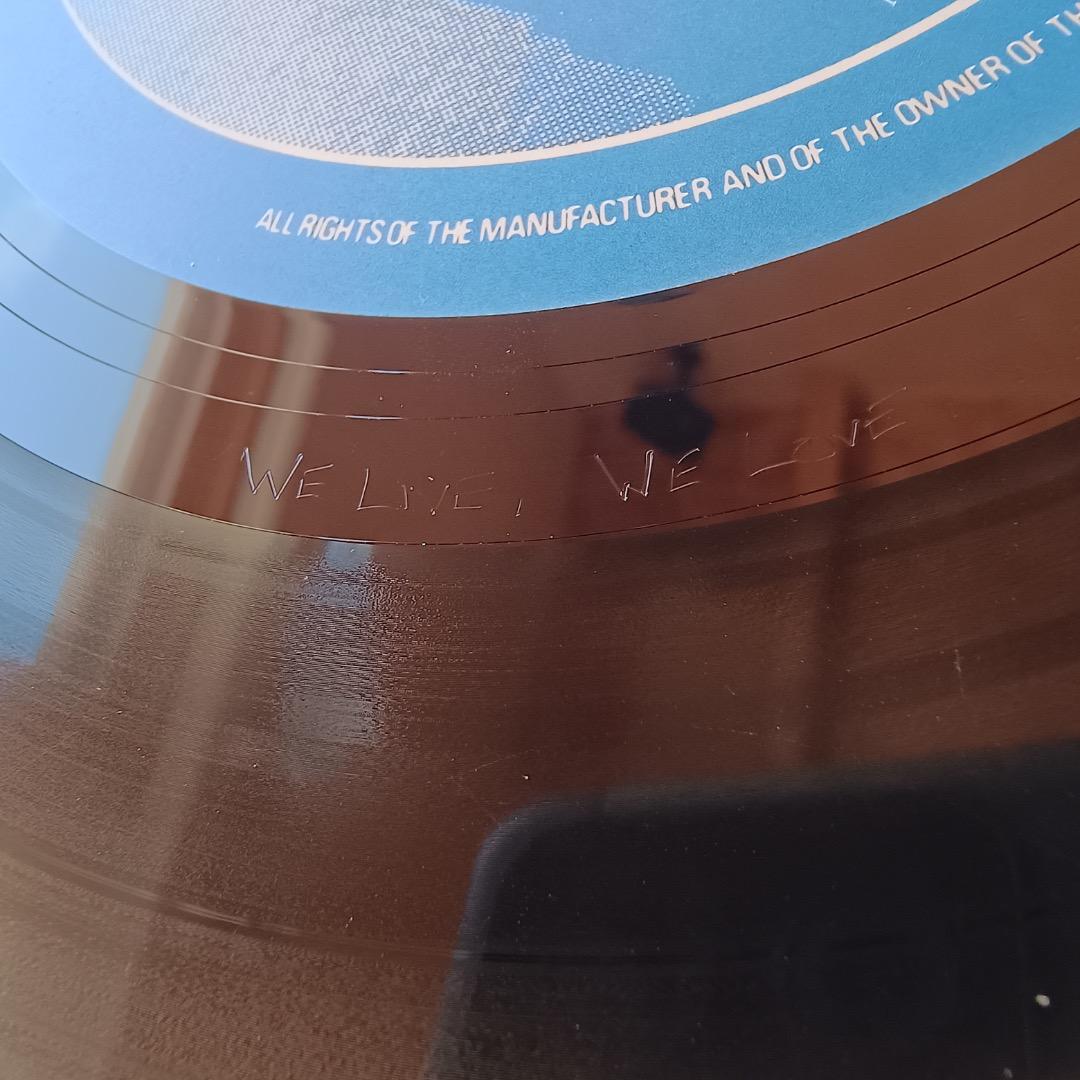 Script Of The Bridge（LP)/The Chameleons