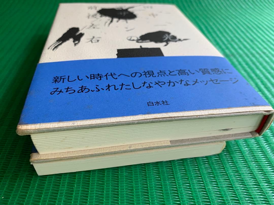 デザインの前後左右 デザインと行く 田中一光 初版 希少 2冊セット