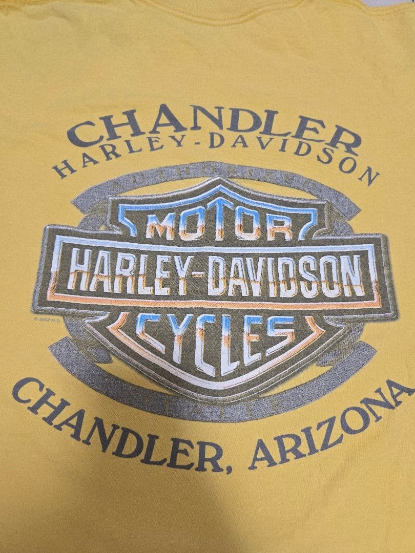 USA製! フレイムイーグル！Harley-Davidson Tシャツ