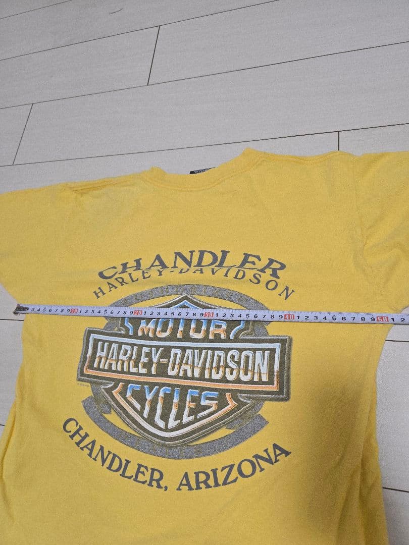 USA製! フレイムイーグル！Harley-Davidson Tシャツ