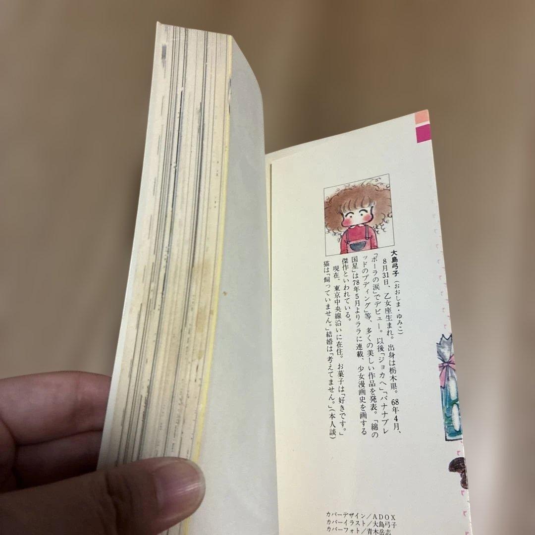 綿の国星ケーキの本 大島弓子今田美奈子著 初版⭐️