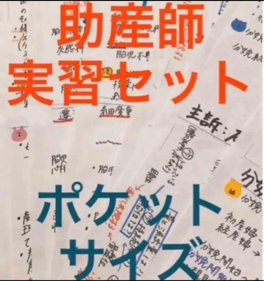 ★土日限定応援価格★助産師・助産学生実習セット実習乗り切りセットまとめノート