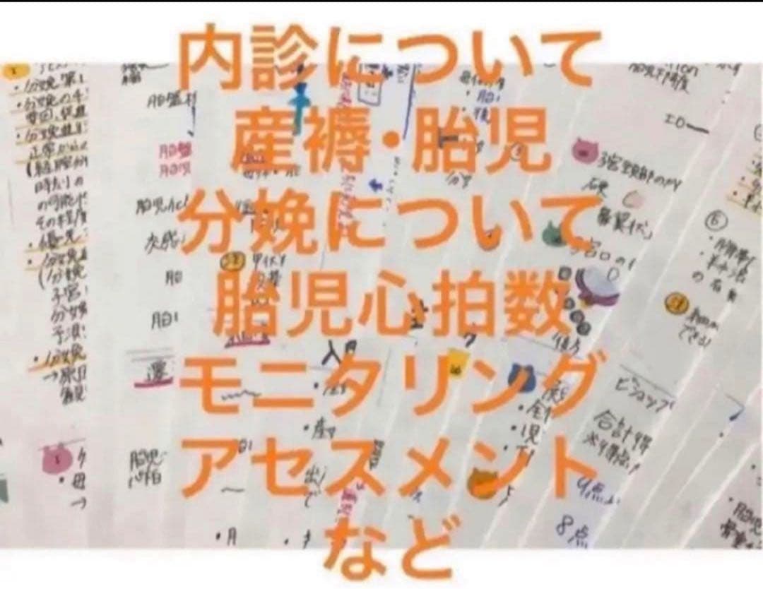 ★土日限定応援価格★助産師・助産学生実習セット実習乗り切りセットまとめノート