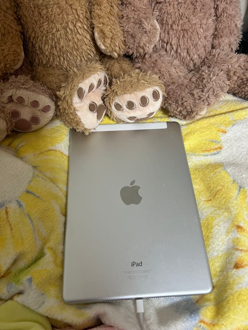 iPadAir2本体＋lightningケーブル