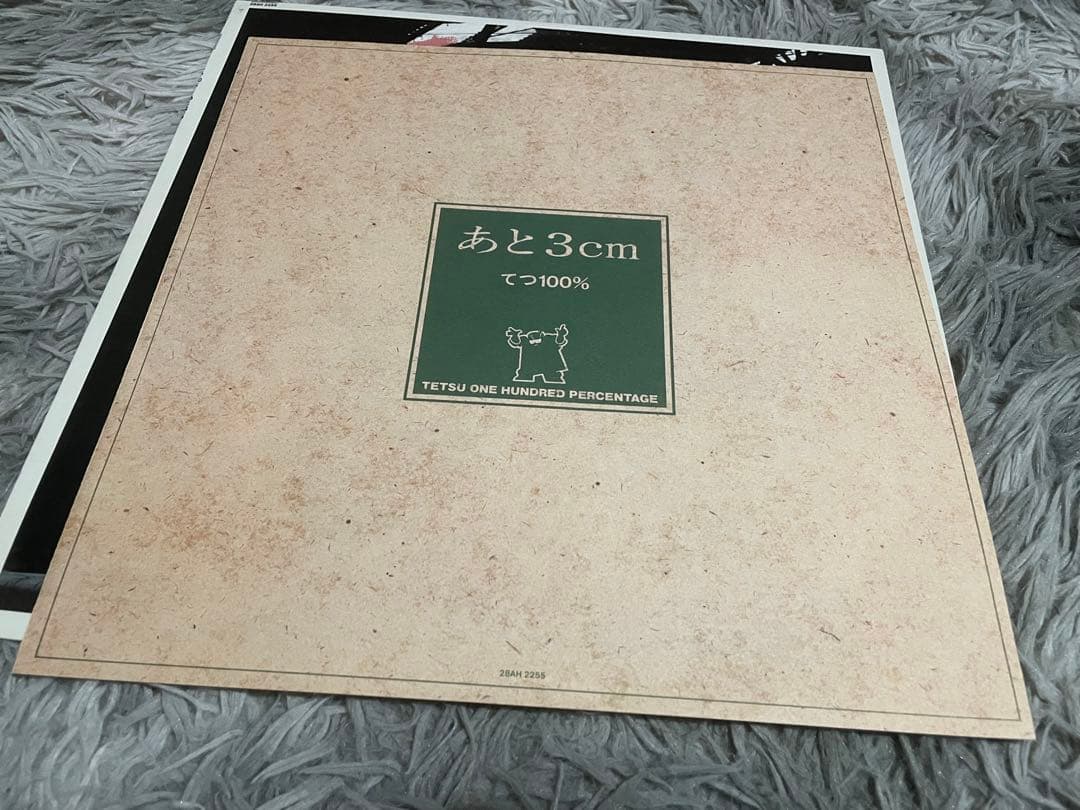 てつ100% あと3cm 見本盤LP