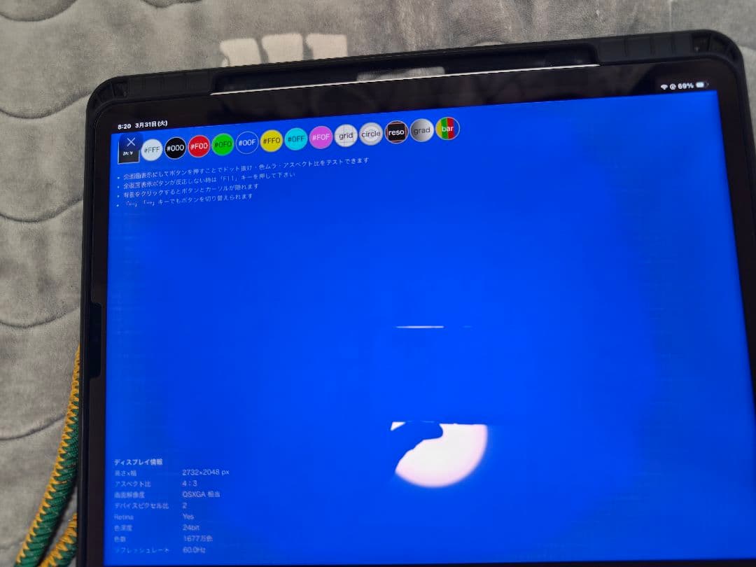 iPad pro 第5世代 12.9インチ シルバー+applePencil