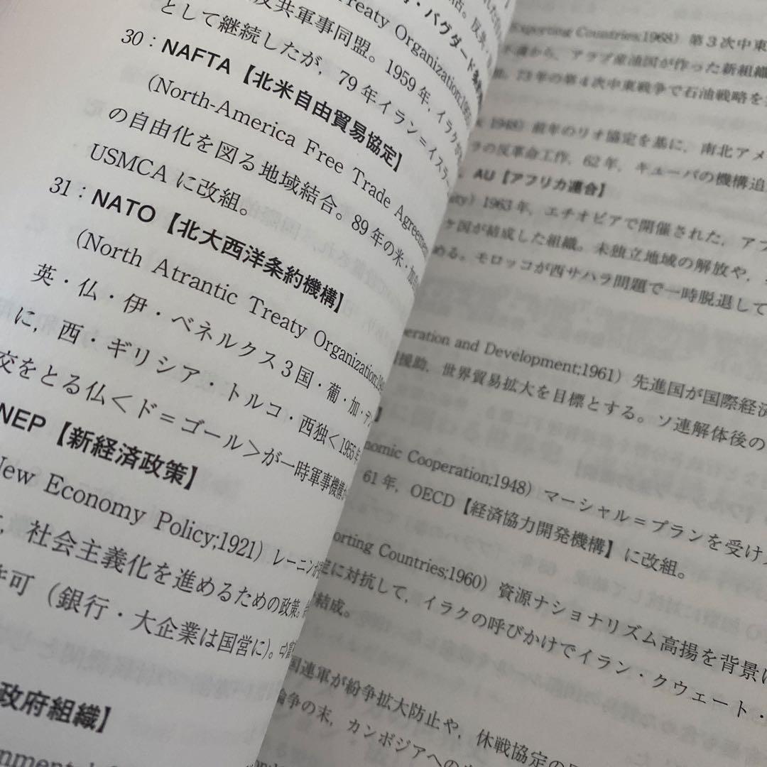 【ほぼ最新版】代ゼミテキスト　世界テーマ史　佐藤幸夫　冬期直前講習会