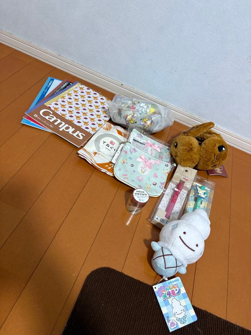 ピカピカバック2020 ピカチュウ ヒバニー ポケモン 福袋