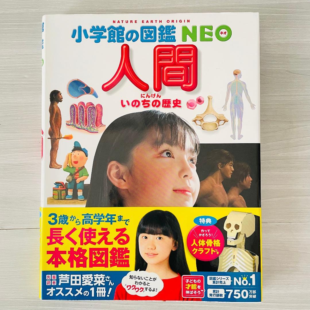 小学館 図鑑NEO 厳選15冊セット 大量 まとめ売り 人気　上質コレクション