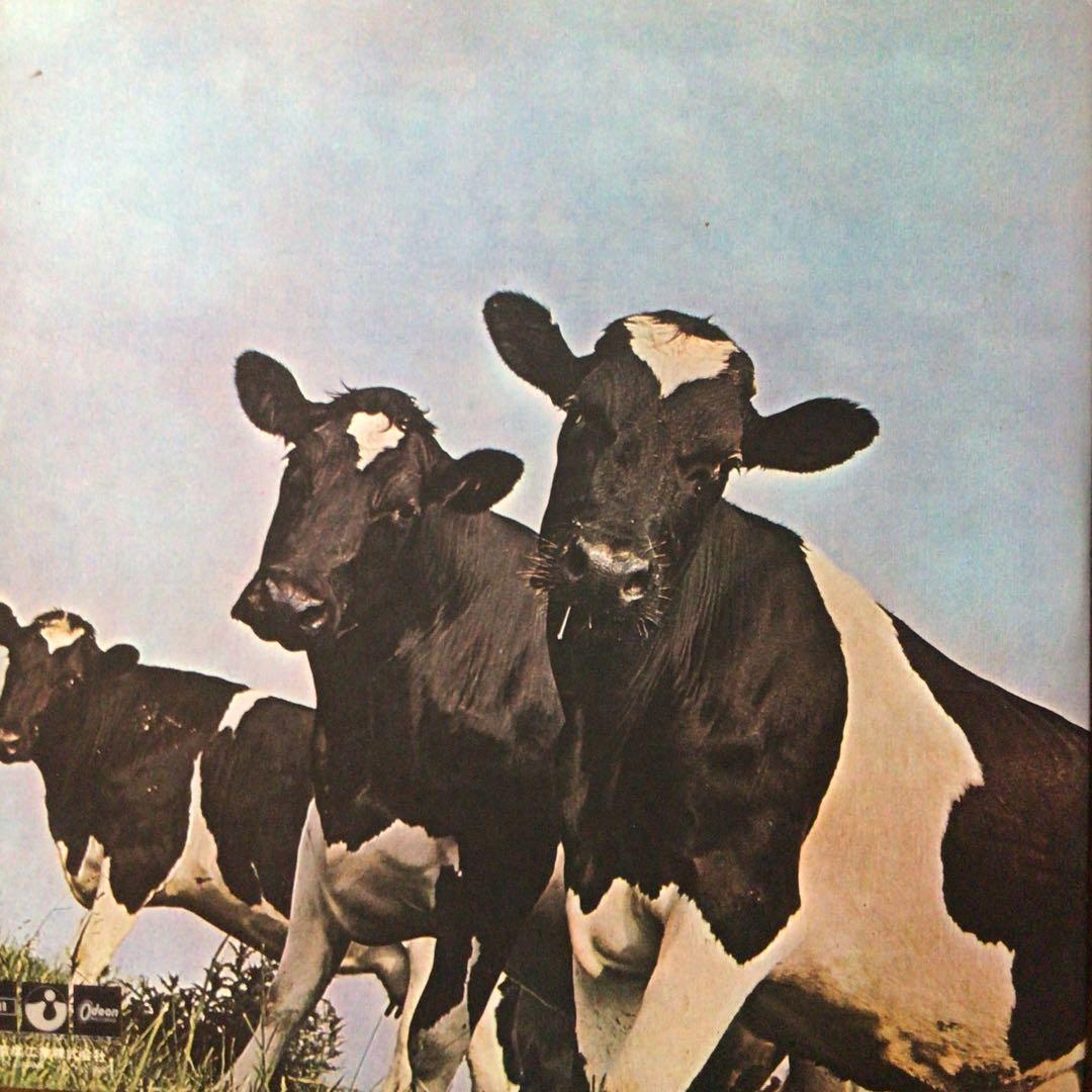 PINK FLOYD 原子心母　国内LP赤盤　OP-80102