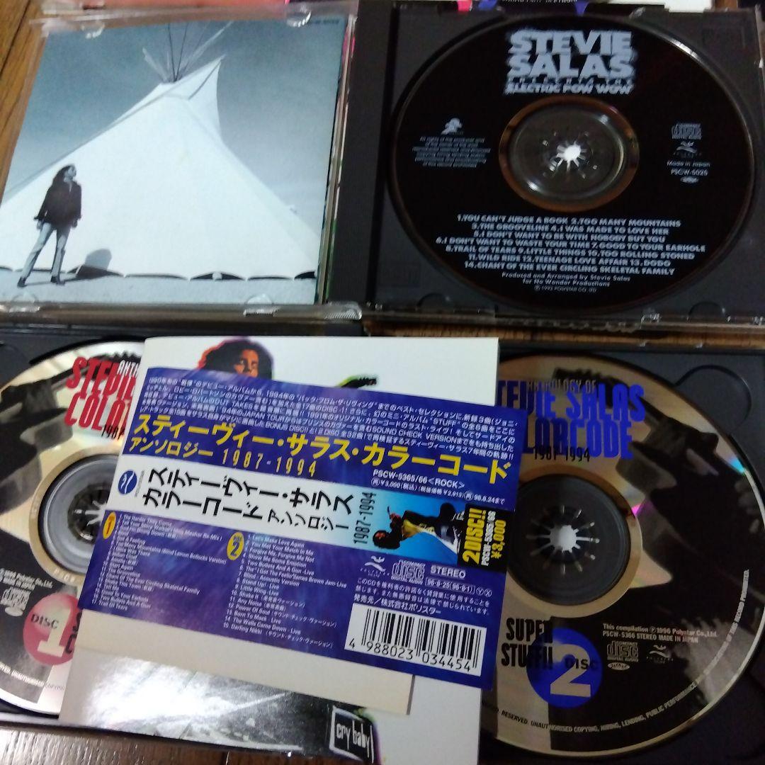 ㊱スティーヴィー・サラス cd １３タイトルセット
