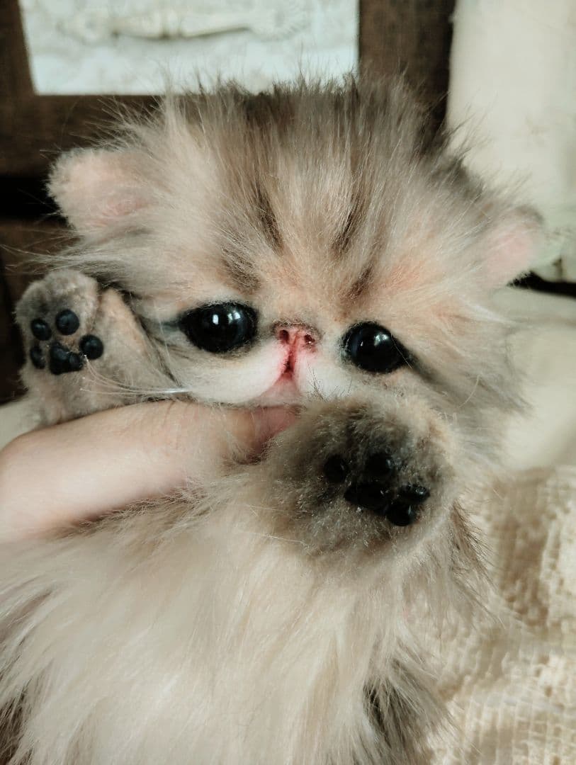 エキゾチックロングヘア♡子猫のプニちゃん♡アートドール♡ぬいぐるみ♡