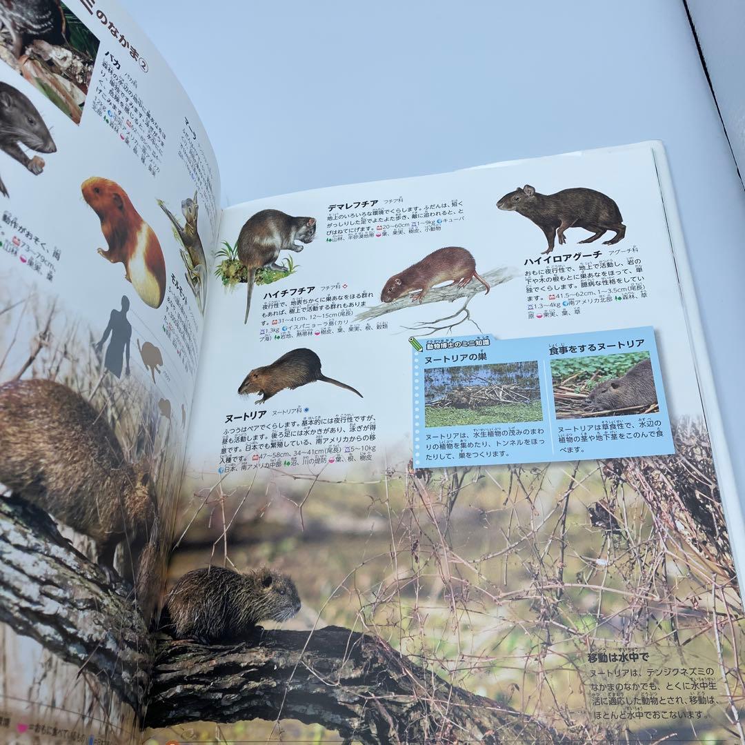 講談社の動く図鑑 MOVE 14冊 DVD12枚　講談社　動物　宇宙　植物