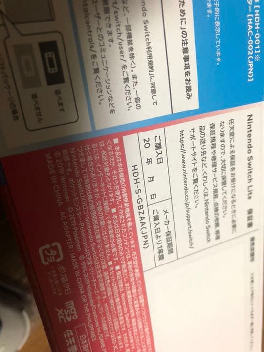 Nintendo Switch Light ニンテンドースイッチライト 本体