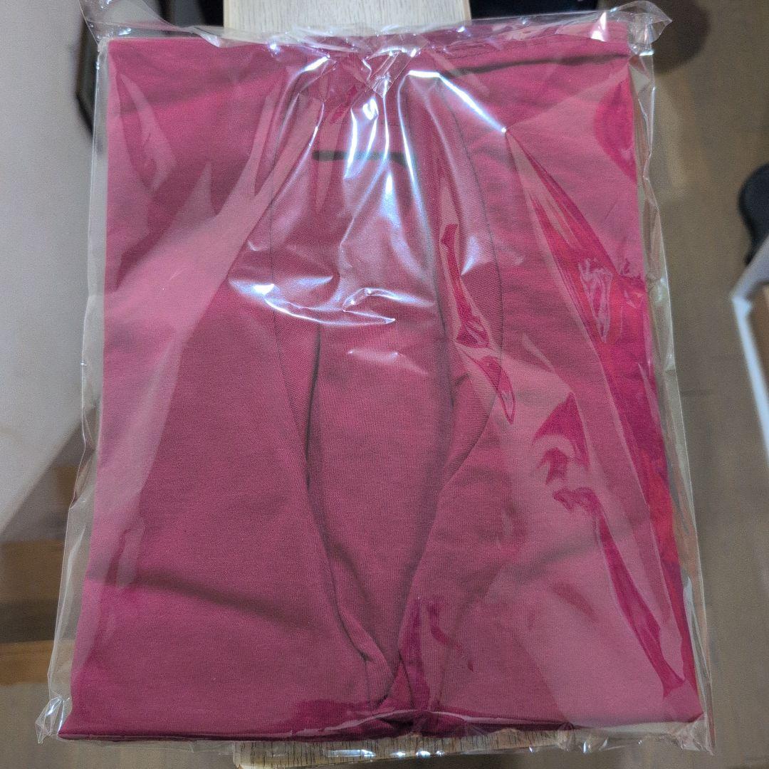 Supreme Dust Tee \"Cardinal\" サイズL