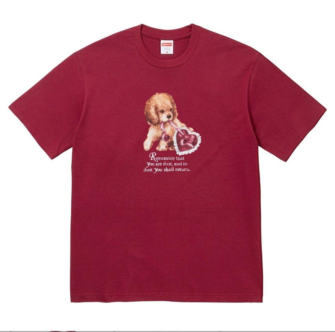 Supreme Dust Tee \"Cardinal\" サイズL