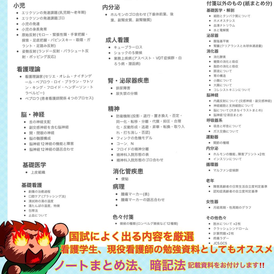 激安‼️ 看護師国家試験まとめノート 国試 解剖生理学 看護学生 付箋ノート￼