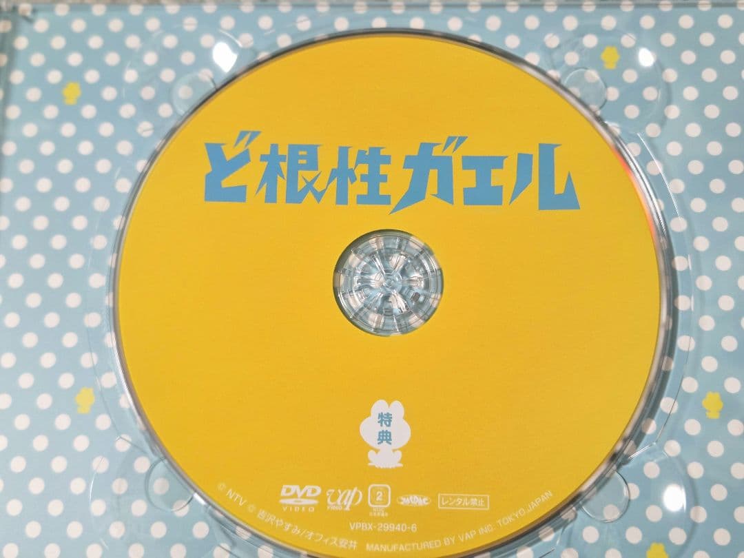 値下げ！ど根性ガエル　実写ドラマ　DVD-BOX