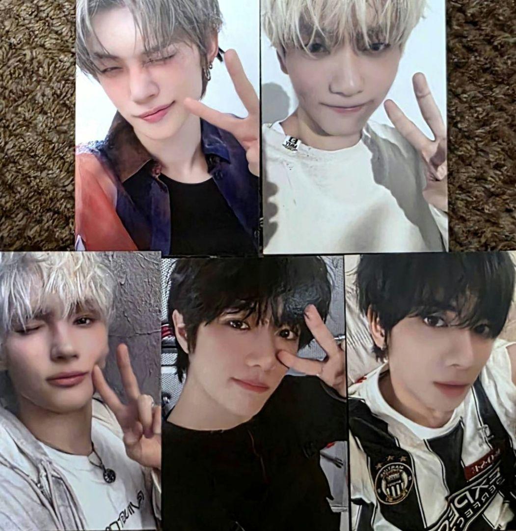 txt シーグリ　2026