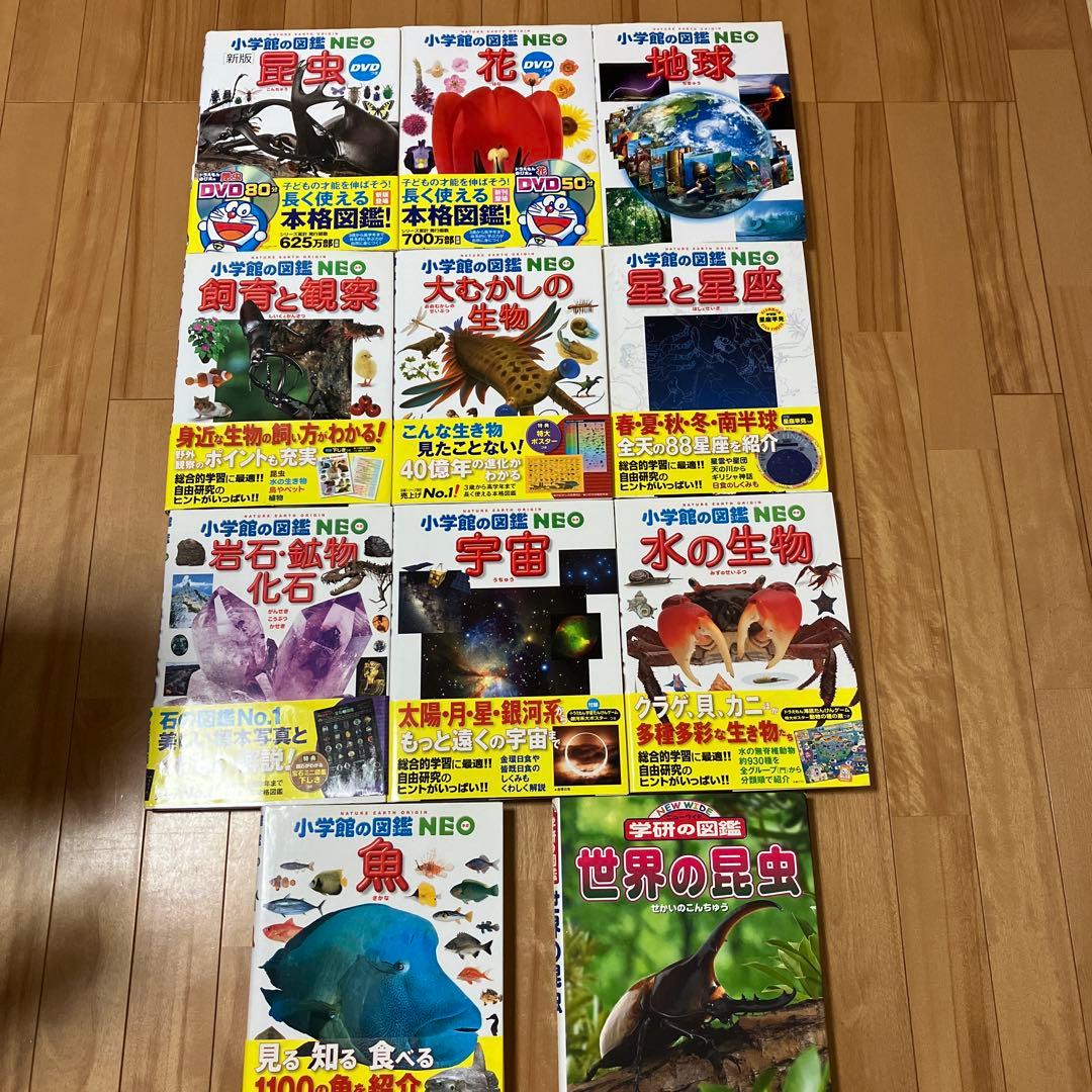 【美品】小学館の図鑑 NEO 10冊セットと学研世界の昆虫　合計11冊セット