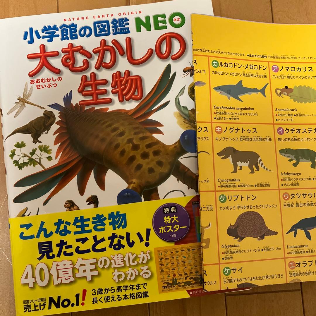 【美品】小学館の図鑑 NEO 10冊セットと学研世界の昆虫　合計11冊セット