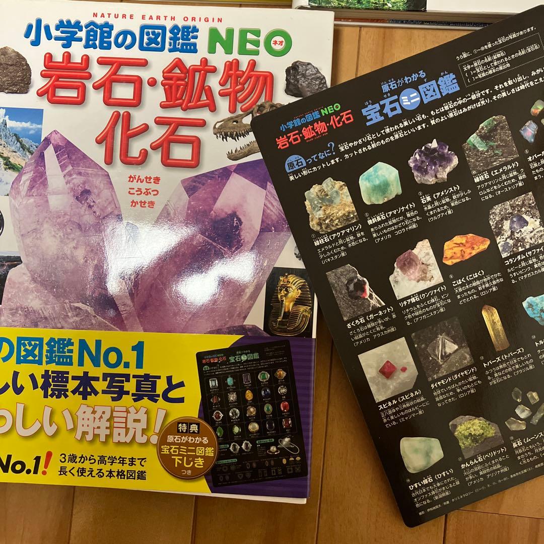【美品】小学館の図鑑 NEO 10冊セットと学研世界の昆虫　合計11冊セット