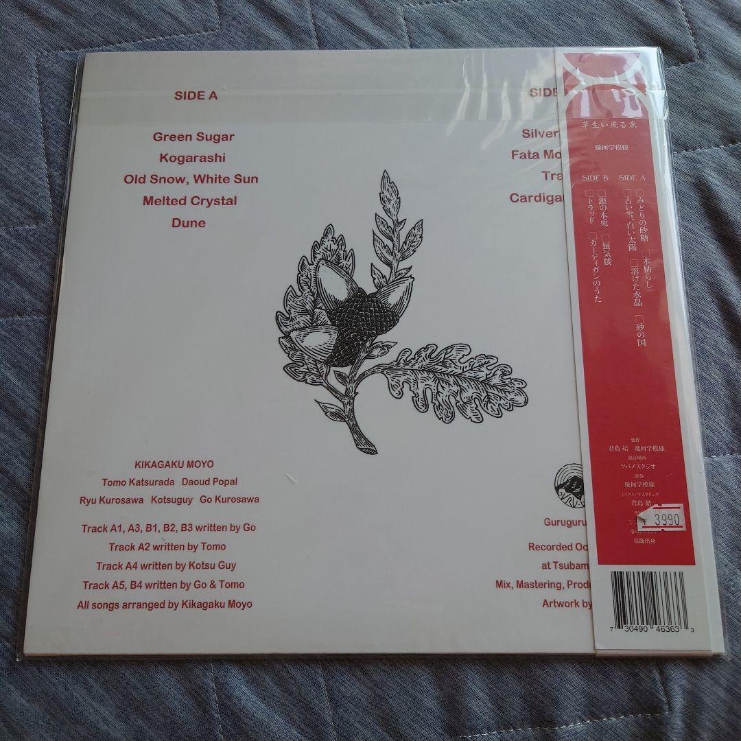 幾何学模様 / 草生い茂る家　レコードLP