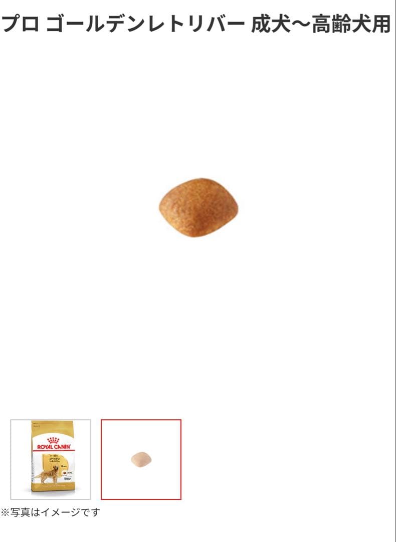  CANIN ゴールデンレトリバー 24kg ロイヤルカナン　送料無料