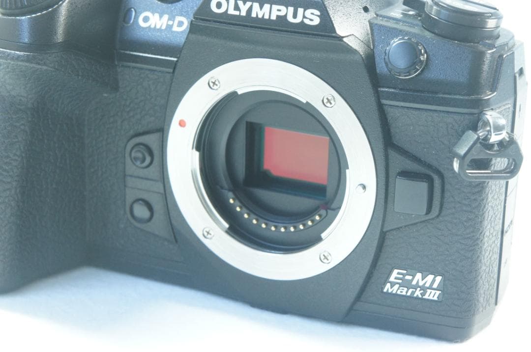 ☆☆美品　シャッター数少　OM-D E-M1 MkIII D-31☆☆