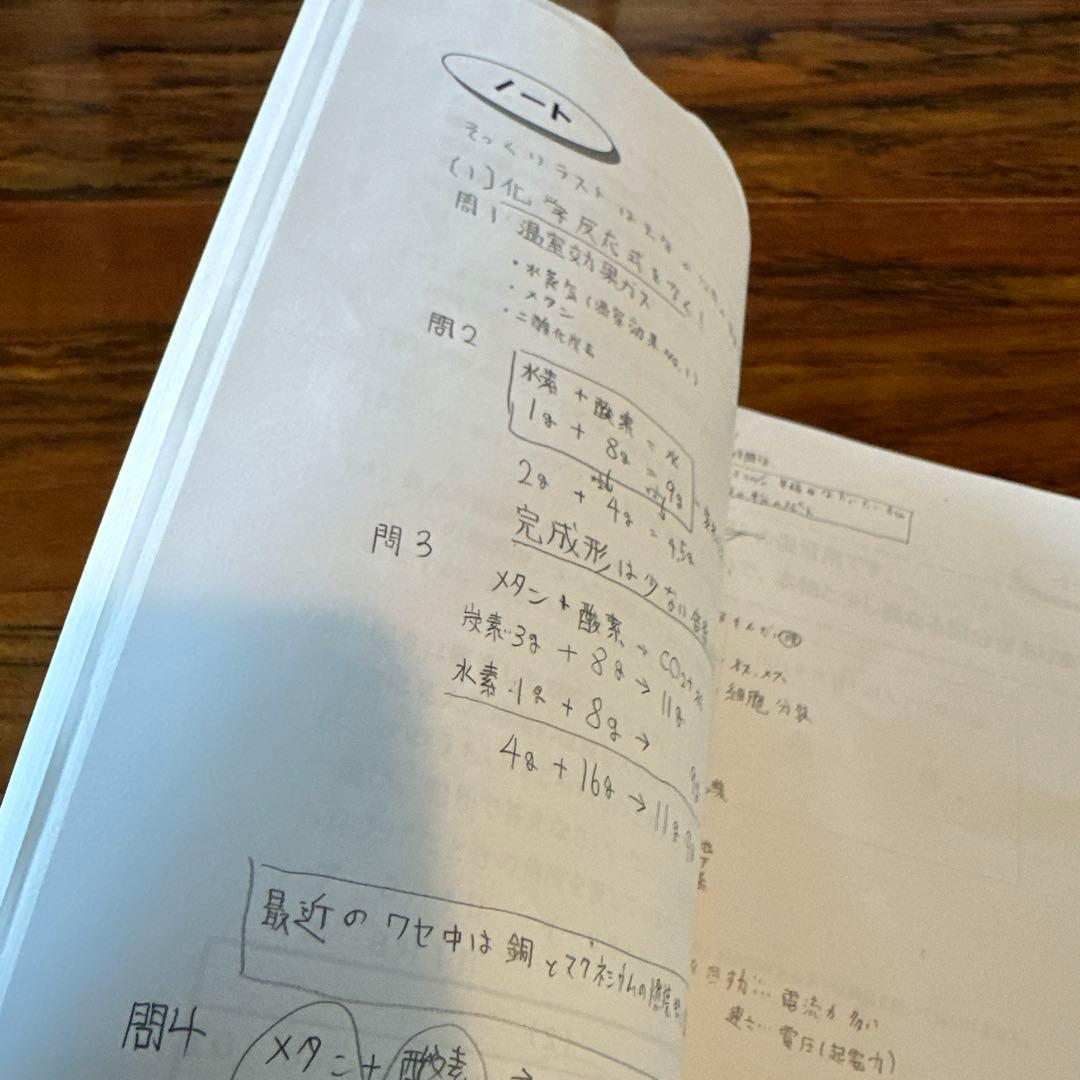 リエ_早稲アカNN_早稲田の理科 講座 11月 12月1月土曜特訓、他
