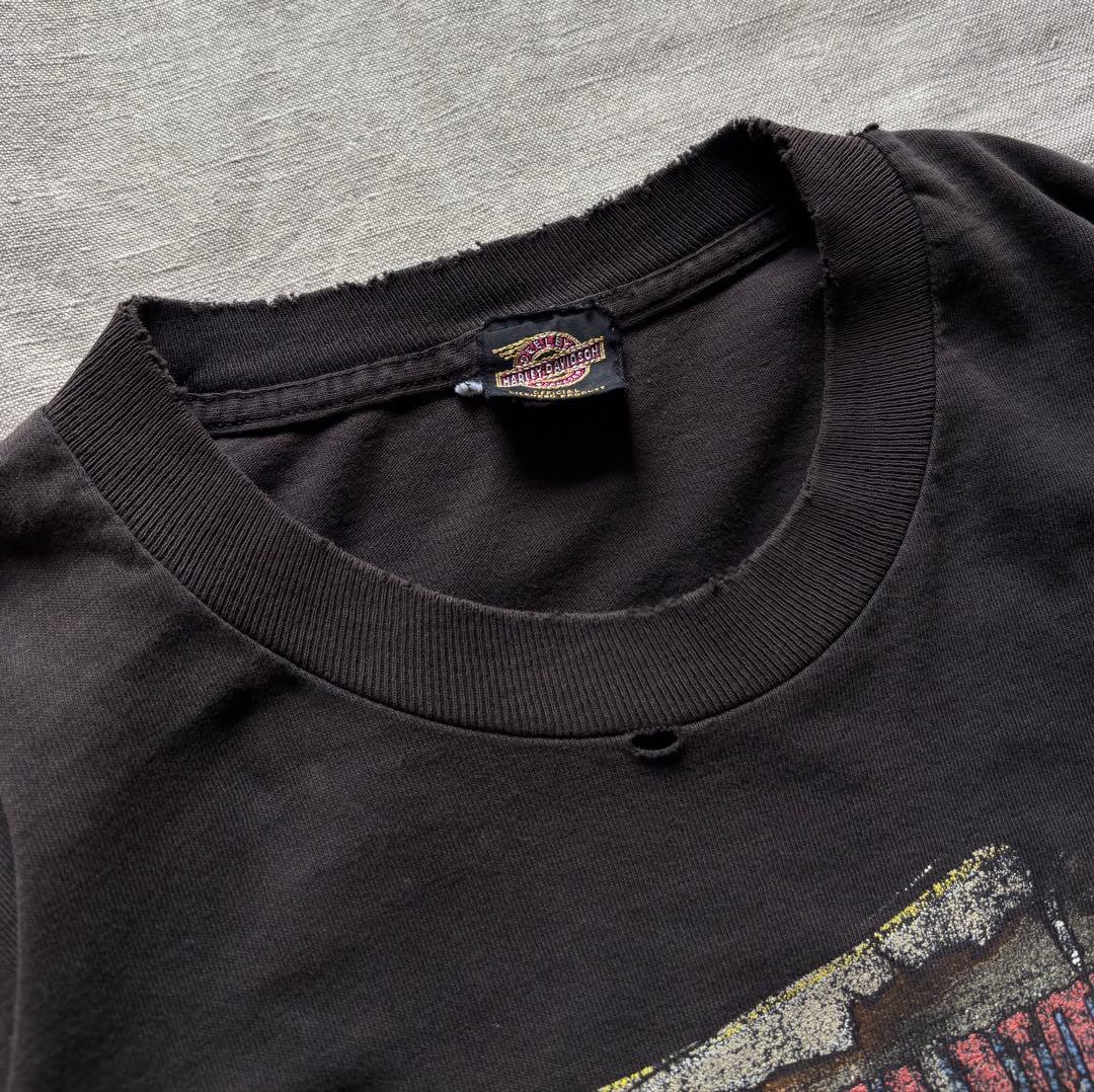 雰囲気抜群 90s ハーレーダビッドソン ルーニーチューンズ Tシャツ カナダ製