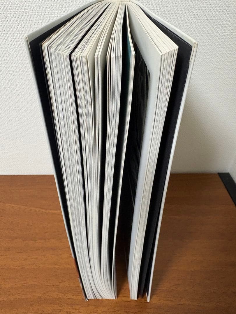 Wolfgang Tillmans 写真集