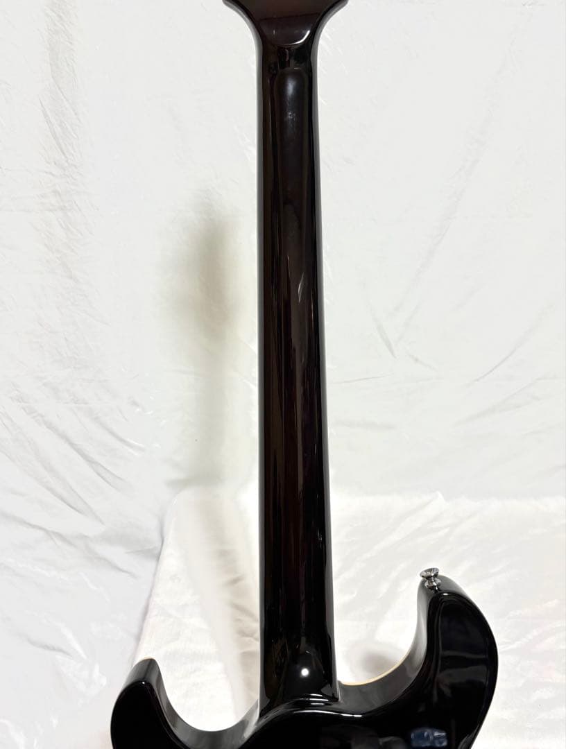 【新品弦張替済】GFC セミアコ PRSタイプ Tree of Life